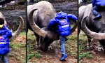 Lustiges Video - Auf´s Dach gestiegen