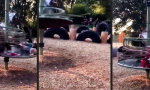 Funny Video : Schule im Schleudergang