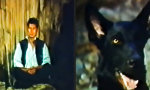 Lustiges Video : Die ultimative Metamorphose