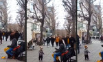 Lustiges Video - Den Rhythmus im jungen Blut