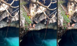 Movie : Klein-Tarzan ist ein Affe