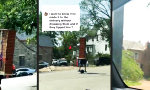 Funny Video - Pizza-Orgie im Reichenviertel