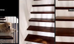 Movie : Stairway to Heaven