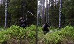 Lustiges Video : Hol dir den Bärenkick