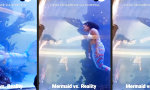 Funny Video : Schock-Transformation einer Meerjungfrau