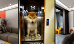 Funny Video : Alle unter einem Dach