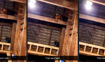 Movie : Nicht das hellste Huhn im Stall