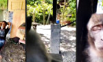 Funny Video - Wegnicken ist ansteckend