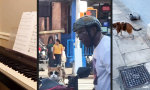 Movie : Snoop Cat