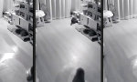 Funny Video - Staubsichere Mitfahrgelegenheit