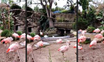 Funny Video - Entgeile Party