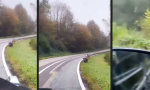 Movie : Dünnbrettbohrer auf der Pirsch