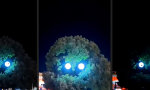 Funny Video - Der Baum, der dich durchleuchtet