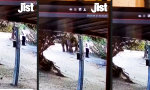 Lustiges Video - Wenn’s hinten kracht, wird’s vorne schnell
