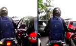Lustiges Video : Hilfsbereit bis die Schwarte knackt