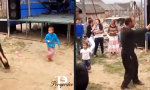 Lustiges Video : Discofossilien dancen hart
