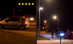 Lustiges Video : Täuschungsmanöver für Profis