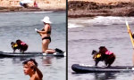 Lustiges Video : The real Love Boat