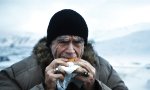 Der Isländer, der McDonalds die Buletten klaut