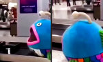 Lustiges Video - Schicksalshafte Begegnung am Gepäckband