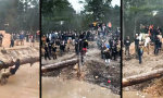 Lustiges Video - Lernresistenz als Gruppensport