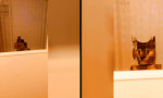 Movie : Rendering: Milchglas