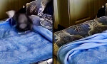 Funny Video : Nestbauen ist Kittensache