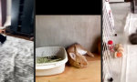 Osterhasen privat