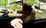 Sitzenbleiben als Stilfrage