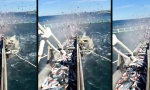 Movie : Aquakultur im Schleudergang