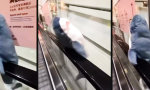 Movie : Der Hai, den die Rolltreppe nicht losließ