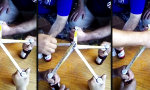 Movie : Startfreigabe fürs Feierabendbier