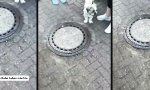 Lustiges Video : Unterm Pflaster liegt der Einsiedler
