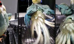 Movie : Duschen wie auf der Tanzfläche