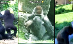 Movie : Zweihundert Kilo Nachsicht