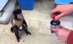Movie : Geaffe am Getränkeautomat