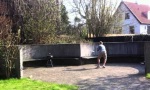 Lustiges Video : Coolster Frisbee Shot Ever?