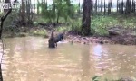 Funny Video : Känguru Waterboarding