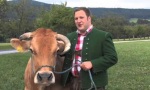 Lustiges Video : Die schönste Kuh der Welt