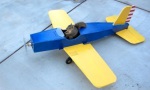 Eichhörnchen klaut Flugzeug