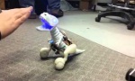 T-Rex Robot